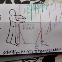 アスパラガスの高設栽培への移行計画