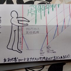 アスパラガスの高設栽培への移行計画