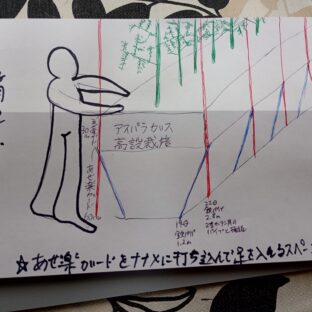 アスパラガスの高設栽培への移行計画