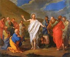 おちつく農園。高熱からの原点回帰