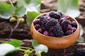 桑の実で作ろう!ヴィーガンかき氷シロップの作り方