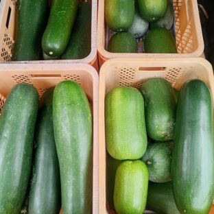 冬瓜大豊作でお困り中!?